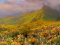 Painted Wildflower Mountain Landscape, by DMS