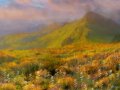 Painted-Wildflower-Mountain-Landscape-by-DMS