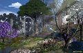 Ancient-Ruins-by-Dan-Seitzinger-5-22-20