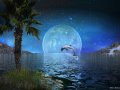 Blue-Moon-by-Dan-Seitzinger-7-4-18