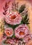 Cabbage-Roese-with-a-Pink-Peach-Background-by-Dan-Seitzinger-1-25-20-scaled