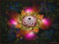JWildfire_Render_byDMS_Pink_Flower_Rose_with_LeafFrame-10-27-19-Signed