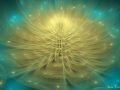 Creme-Globe-Flower-Fractal-Artwork-Created-By-DMS-03-04-14-scaled