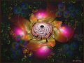 JWildfire_Render_byDMS_Pink_Flower_Rose_with_LeafFrame-10-27-19-Signed
