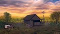 Mustard-Field-Scene-by-Dan-Seitzinger-5-23-20-scaled