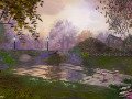 Bridge-in-the-Country-by-DMS-6-26-19-Signed