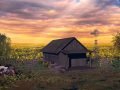 Mustard-Field-Scene-by-Dan-Seitzinger-5-23-20-scaled