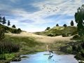 The-Pond-by-Dan-Seitzinger-1-8-20-Signed