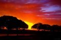 Don-Edwards-National-Wildlife-Refuge-Fremont-CA-Photo-by-DMS-07-7-14-Signed-scaled