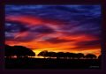 Dusk-at-the-DENWR-Photography-by-DMS-6-20-14-scaled