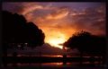 Glow-Between-The-Trees-Photography-by-Dan-Seitzinger-5-27-15-Signed-Framed-scaled