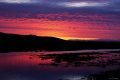Tonight-at-the-Refuge-Photography-by-Dan-Seitzinger-3-24-15-EB-scaled