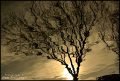Tree-Refection-on-the-Water-Photography-by-DMS-2-15-14-scaled