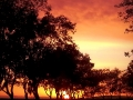 Almost Sunset, Photography by Dan Seitzinger - Signed