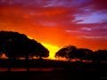 Don-Edwards-National-Wildlife-Refuge-Fremont-CA-Photo-by-DMS-07-7-14-Signed-scaled