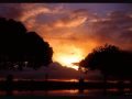 Glow-Between-The-Trees-Photography-by-Dan-Seitzinger-5-27-15-Signed-Framed-scaled