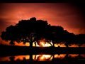 Sunset-through-theTrees-Photography-by-Dan-Seitzinger-5-11-15-Signed-EB-scaled