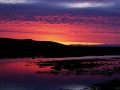 Tonight-at-the-Refuge-Photography-by-Dan-Seitzinger-3-24-15-EB-scaled