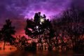 After-the-Flood-Fantasy-Waterscape-by-DMS-01-20-15-Signed-01-scaled
