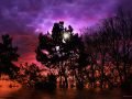 After-the-Flood-Fantasy-Waterscape-by-DMS-01-20-15-Signed-01-scaled