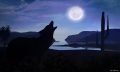 Wolf-Moon-by-Artist-Dan-Seitzinger-3-25-19-Signed-scaled