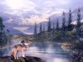 Wolf-Mountain-Scene-by-Dan-Seitzinger-6-13-19-Signed